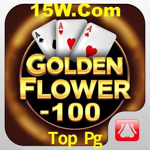 Interface Premium Top Pg